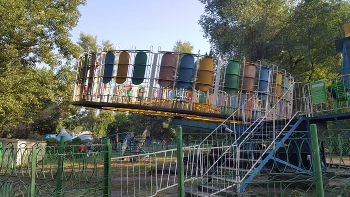 Парк «Дубовый Гай» («Дубовка») в Запорожье — Детали зелени
